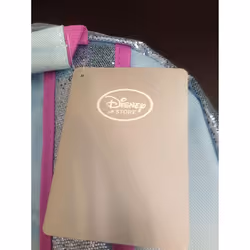 Authentic Disney Store Frozen's Elsa and Anna Backpack Bookbag