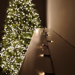 600 LED 60m Premier Battery 8 Function Outdoor Smart Timer Lights Warm White