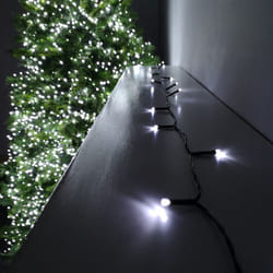 Christmas 50 Battery Timer LED Lights Indoor or Outdoor - White