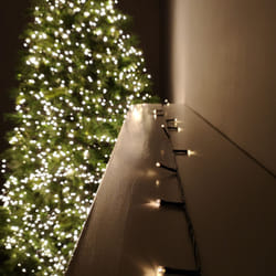 Christmas 50 Battery Timer LED Lights Indoor or Outdoor - Warm White
