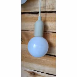 2 LED Pull Cord Portable Light Bulbs Large Globe Bulbs White Light