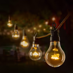 10 Clear Bulb Festoon Garden String Lights Warm White Lights 4.5M