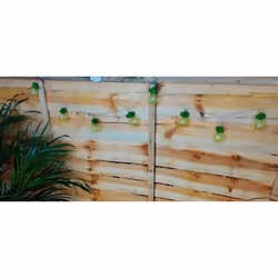 Pineapple String Lights 10 LED Battery Operated Cool White