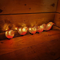 16 cm 5 pc Acrylic Christmas Robin Red breast 30 Warm White LEDs And Clip