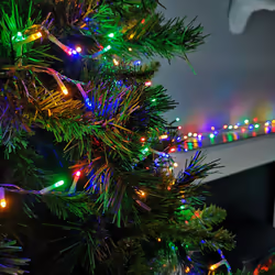 Premier 1000 LED 25m TreeBrights Christmas Lights Multi Coloured LED Lights