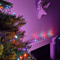 Premier 50 LED 5m Battery 8 Function Timer Lights Rainbow