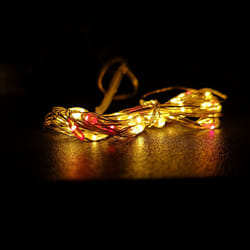 50 LED 2.5m Premier Christmas Outdoor Multi Function Timer Wire Lights Red & Gold
