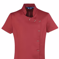 Premier Womens/Ladies *Orchid* Tunic / Health Beauty & Spa / Workwear - 20, Burgundy