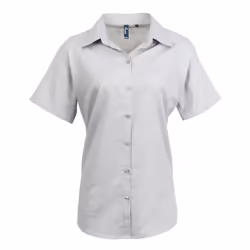 Premier Womens/Ladies Signature Oxford Short Sleeve Work Shirt - 8, Silver