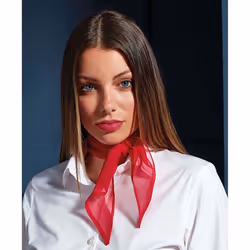 Premier Ladies/Womens Work Chiffon Formal Scarf - One Size, Red