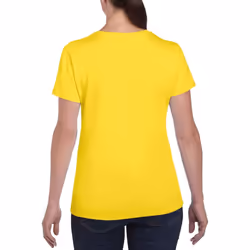 Gildan Ladies/Womens Heavy Cotton Missy Fit Short Sleeve T-Shirt - S, Daisy