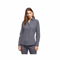 Premier Womens/Ladies Poplin Long Sleeve Blouse / Plain Work Shirt - 16, Steel