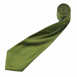 Premier Mens Plain Satin Tie (Narrow Blade) - One Size, Oasis Green