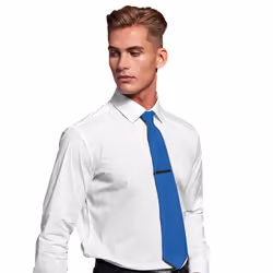 Premier Mens Plain Satin Tie (Narrow Blade) - One Size, Sapphire