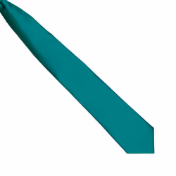 Premier Colours Mens Satin Clip Tie - One size, Bottle