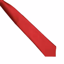 Premier Colours Mens Satin Clip Tie - One size, Burgundy