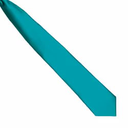 Premier Colours Mens Satin Clip Tie - One size, Emerald