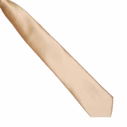 Premier Colours Mens Satin Clip Tie - One size, Khaki