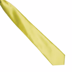 Premier Colours Mens Satin Clip Tie - One size, Lime
