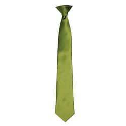 Premier Colours Mens Satin Clip Tie - One size, Oasis Green