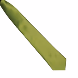 Premier Colours Mens Satin Clip Tie - One size, Oasis Green