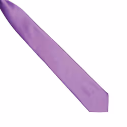 Premier Colours Mens Satin Clip Tie - One size, Rich Violet