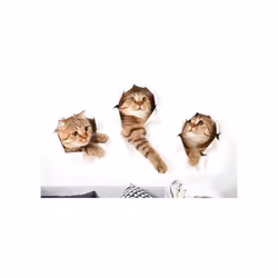 3D Large Wall Cat Kitten Stickers Bedroom Decal Fridge Mural Art Decor Removable