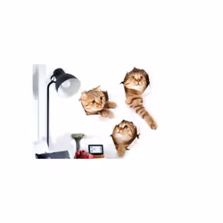 3D Large Wall Cat Kitten Stickers Bedroom Decal Fridge Mural Art Decor Removable