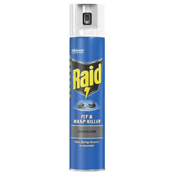 Raid Fly & Wasp Killer 300ml