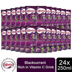 Ribena Blackcurrant Cartons Fruit Juice, 24 pk