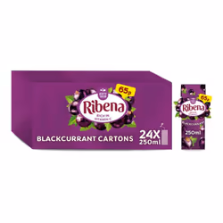 Ribena Blackcurrant Juice Drink 250ml (Pack of 24)