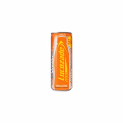 Orange Can (24 x 250ml)
