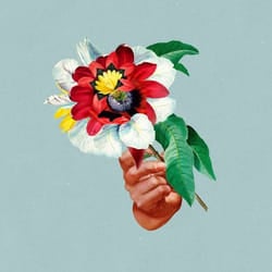 ImportCDs Kingdoms in Colour Vinyl Dance