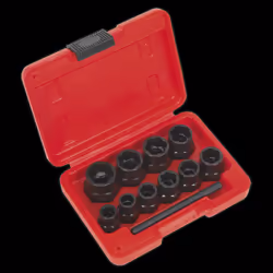 Bolt Extractor Set 11pc 3/8"Sq Drive or Spanner