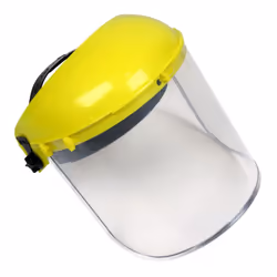 Brow Guard with Full Face Shield