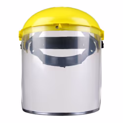 Brow Guard with Full Face Shield