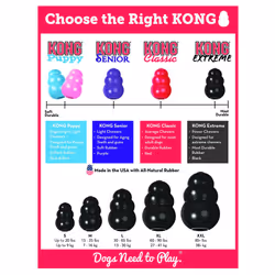 KONG Extreme Dog Toy - Medium, Black