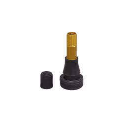 Snap-in Tubeless High Pressure Tyre Valve, TR600, Pack of 50 - TVHP1
