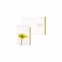 Assorted Sympathy Greeting Cards (Flowers, 12 Cards and Envelopes)