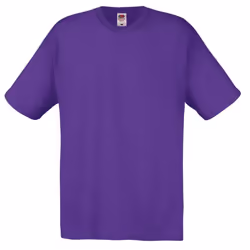 Fruit Of The Loom Mens Screen Stars Original Full Cut Short Sleeve T-Shirt - S, Purple