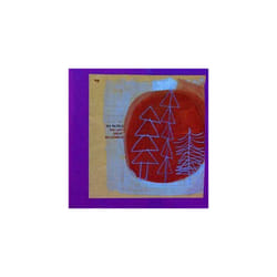 The Pastels  The Last Great Wilderness CD (2003)