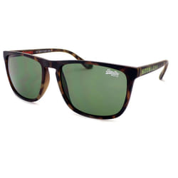SUPERDRY Sunglasses SHOCKWAVE Dark Brown Tortoise with Green Lens 102