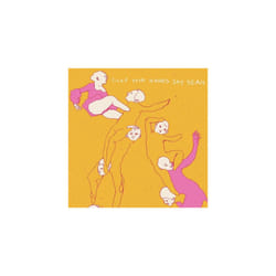 Clap Your Hands Say Yeah
