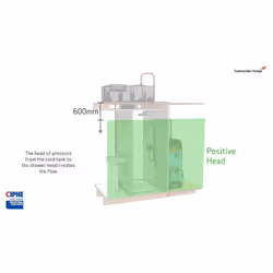 Salamander CT55XTRA 1.5 Bar Shower Pump Single Impeller Positive Regenerative