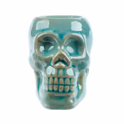 Eden Aroma Set - Mini Ceramic Skull Oil Burner