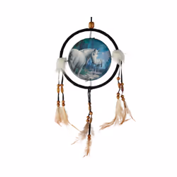 Decorative Lisa Parker The Journey Home 16cm Dreamcatcher
