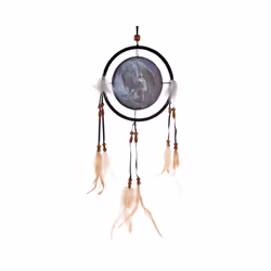 Lisa Parker Protector of Magick Dragon Dreamcatcher Small