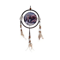 Decorative Lisa Park Dragon and Wolf Alliance 16cm Dreamcatcher