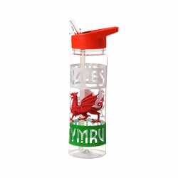 Reusable Welsh Dragon Wales Cymru 550ml Water Bottle
