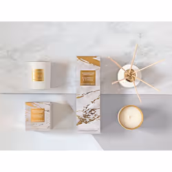 Stoneglow Cedarwood & Cypress wax candle Round Cedarwood, Cypress Gold, White 1 pc(s)